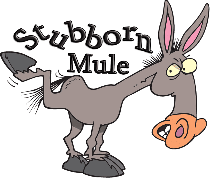 STUBBORN AS A MULE!