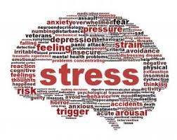 Three types of stress - Situational Awareness Matters!™