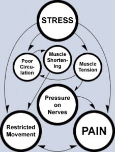 stress_cycle